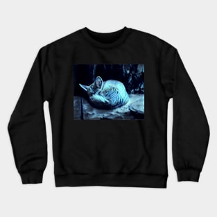 Sleepy Spectral Kitty Crewneck Sweatshirt